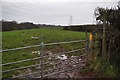 Taunton Deane District : Field Entrance