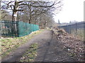 Fir Tree Lane - viewed from Fir Tree Approach