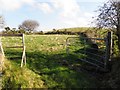 A wee field, Mullaghslin