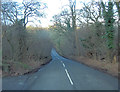 B3048 beside Stoneyard Copse