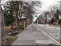 Bus Stop on Dene Avenue