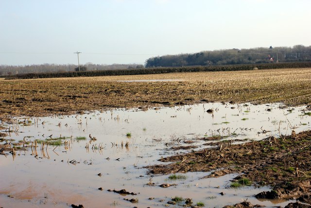 Waterlogged farmland near Poulton