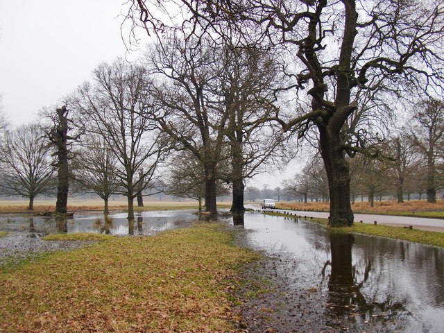 Flooding near Robin Hood Gate, February 2013 (2)