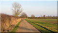 TL9613 : Track along field boundary,  Abbotts Hall Farm by Roger Jones