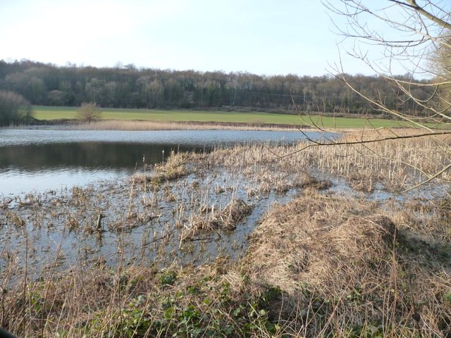 Sprotbrough Flash [3] © Christine Johnstone :: Geograph Britain and Ireland