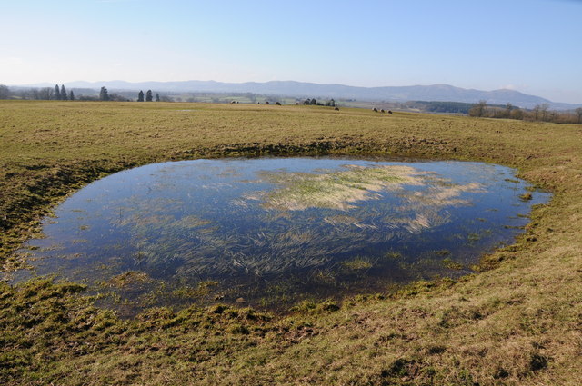 Pond on Cub's Moor
