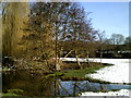 Trees reflected in the River Beane off the Hertfordshire Way