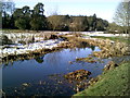 River Beane, Waterford Marsh