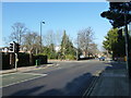 Approaching the crossroads of Banister, Archers and Carlton Roads