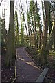 Boardwalk in Spennells Valley Nature Reserve, Spennells, Kidderminster