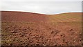 Red soil, Grizzlefield