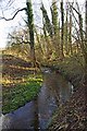 A stream in Spennells Valley Nature Reserve, Spennells, Kidderminster