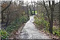 Path in Spennells Valley Nature Reserve, Spennells, Kidderminster