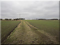 NU0048 : Footpath between arable fields, near Scremerston by Graham Robson