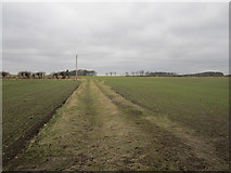 NU0048 : Footpath between arable fields, near Scremerston by Graham Robson