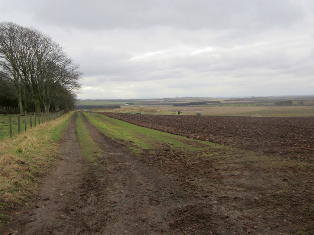 Farm track near Ewe Hill