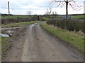 SP7596 : Country lane near Glooston Lodge by Mat Fascione