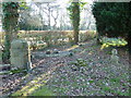 Titanic gravestone- Harry James Smither