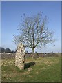 Long Stone and tree