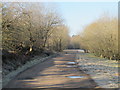 NY6458 : The trackbed of Lord Carlisle's Railway near Midgeholme by Mike Quinn