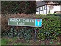 Magna Carta Lane