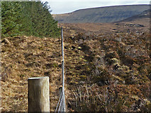 NG4358 : Edge of Glenuachdarach Forest by John Allan