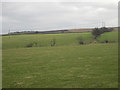 Grazing land near Ord Mains