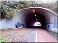 Southern side of a tunnel under the M48 motorway near Chepstow