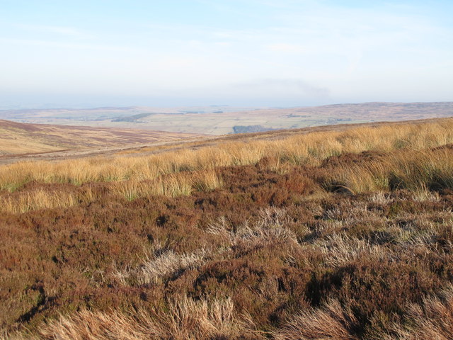 Moorland south of Glendue Burn © Mike Quinn cc-by-sa/2.0 :: Geograph ...