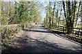 Country road at Pirton