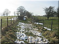 NZ1231 : Bridleway to the eastern end of Hamsterley by peter robinson