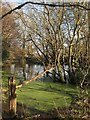 TQ1515 : Pond, Jessops Farm by Simon Carey