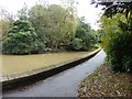 Pond in Priory Park, Bodmin