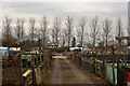 Brindle Road allotments