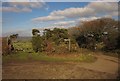 Edge of Nattadon Common