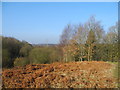 Overhead Power Lines, Medlock Vale