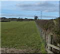 Field and hedge north of Palmers Lane