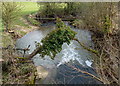 Small brook viewed from Palmers Lane