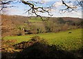 Field above Woodtown