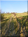 Path leading to Bunker Hill from Vale Lane