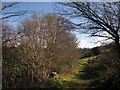 Bridleway to Yellam