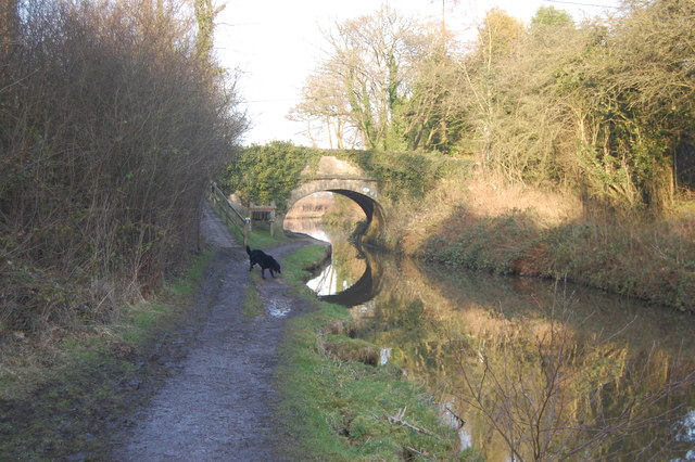 Bridge 21, Macclesfield Canal