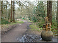 Wood sculpture, Oxhey Woods