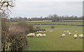 Footpath through field to Willoughby on the Wolds 