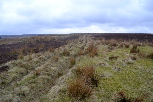 Track to the Roman Road, Blubberhouses Moor