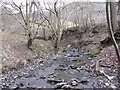 Tributary of the River Rhiw in Pant-y-ffridd