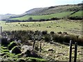 The western slopes of the Ballyvally gap