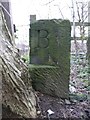 Boundary Stone at Howden Clough