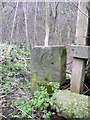 Boundary Stone at Howden Clough