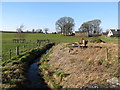 A tributary of the Clanrye emerging from below Ballyvally Road